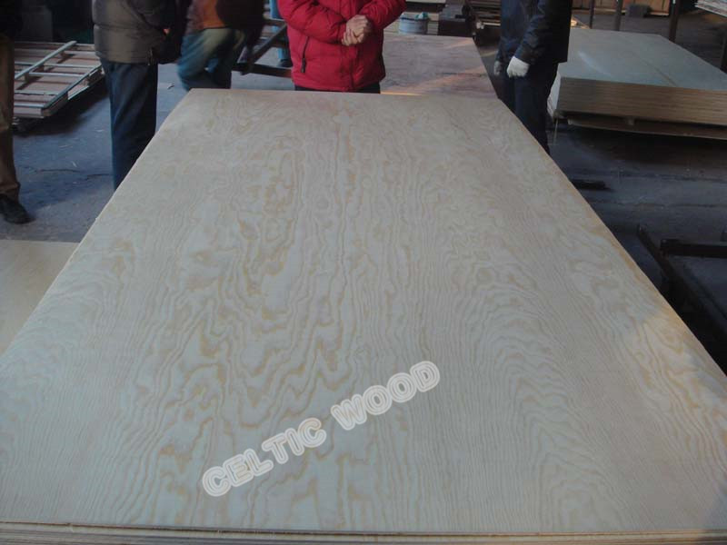 Scotch Pine Plywood A Grade